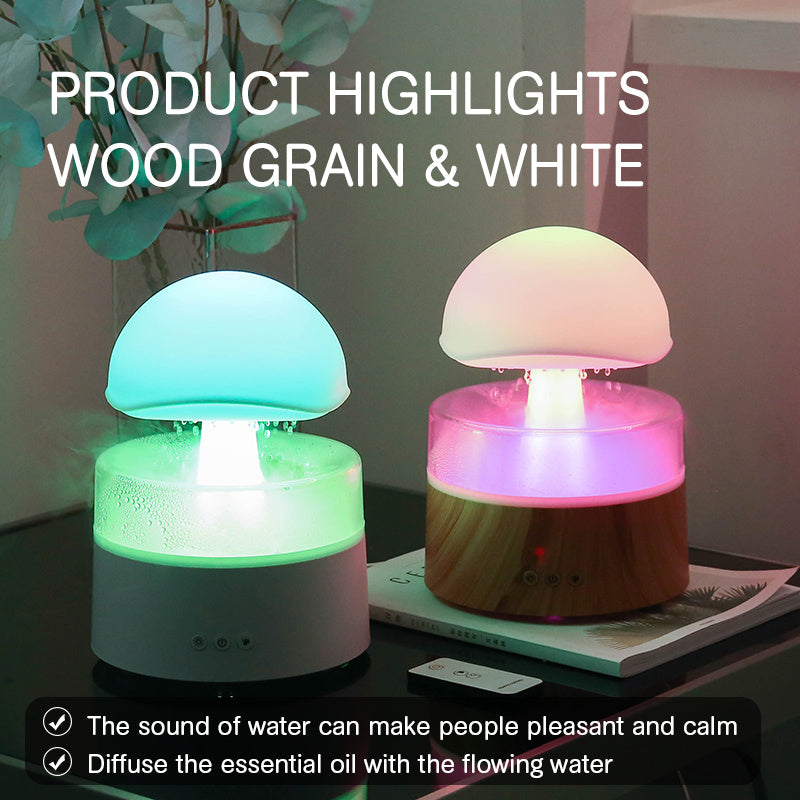 Rain Cloud Ultrasonic Aroma Humidifier